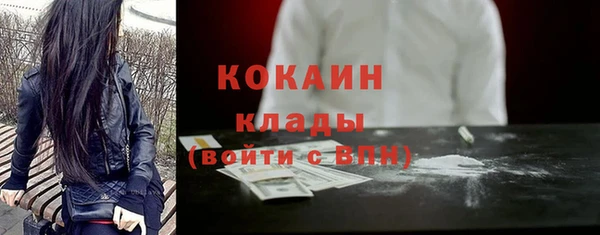 крисы Ладушкин